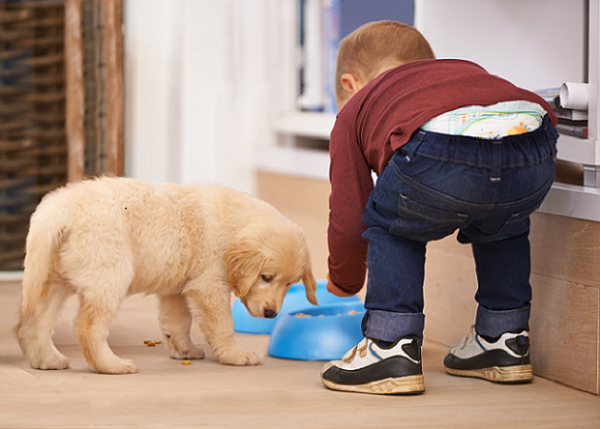 Niño y perrito
