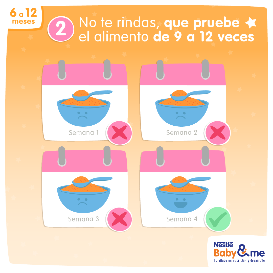 Tipo de alimentación para pequeños, no te rindas que pruebe el alimento de 9 a 12 veces