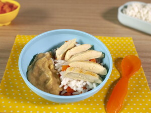 BOWL_DE_ARROZ_-_GERBER BOWL_DE_ARROZ_-_GERBER