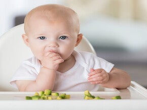 Formas de dar aguacate a un bebé Formas de dar aguacate a un bebé
