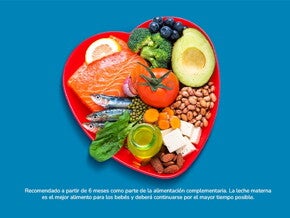 Gerber productos