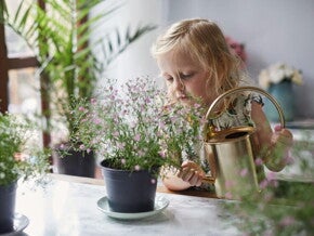 Niña pequeña regando plantas con una regadora.