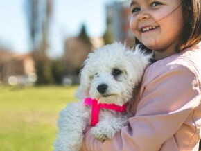 Enseñar a tu hijo a cuidar a su mascota cuidados basicos de las mascotas