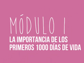 La importancia de los primeros 1000 días de vida | Módulo I La importancia de los primeros 1000 días de vida | Módulo I