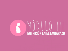 Modulo III | Nutrición en el embarazo Modulo III | Nutrición en el embarazo