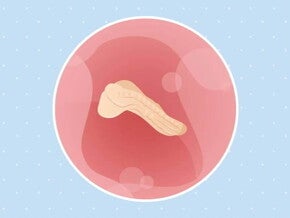 Imagen ilustrativa del desarrollo de un embrión humano a las 3 semanas de embarazo.