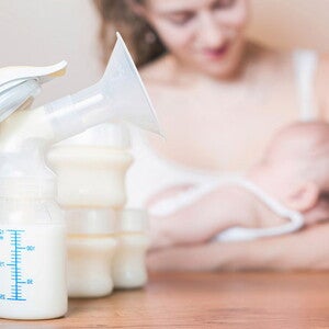 Cómo alimentarlo cuando no estás Cómo alimentarlo cuando no estás