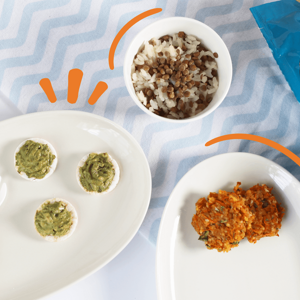 plato con hamburguesa de calabacita y chayote chips gerber comida para bebés plato con hamburguesa de calabacita y chayote chips gerber comida para bebés
