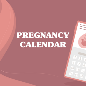 Pregnancy calendar Pregnancy calendar