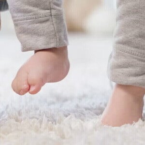 Estapa Crecimiento Estapa Crecimiento