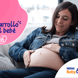 Desarrollo del bebé Desarrollo del bebé