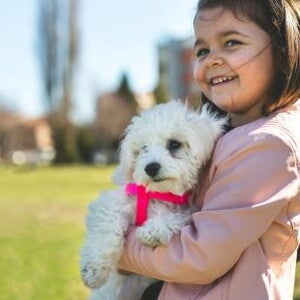 Enseñar a tu hijo a cuidar a su mascota cuidados basicos de las mascotas