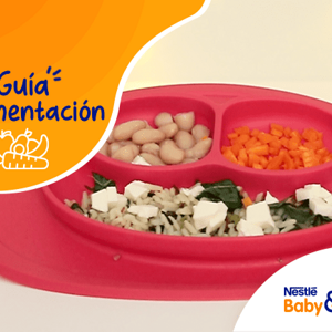 Guía alimentación Guía alimentación