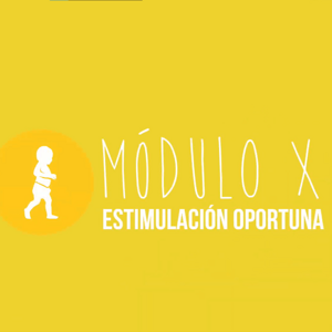 Estimulación Oportuna | Modulo X Estimulación Oportuna | Modulo X
