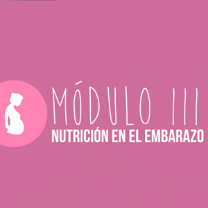 Modulo III | Nutrición en el embarazo Modulo III | Nutrición en el embarazo