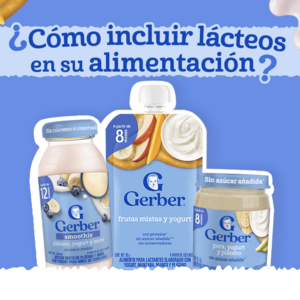 Guía smoothies