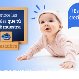 Señales Madurez