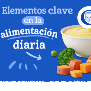 Guía alimentación diaria