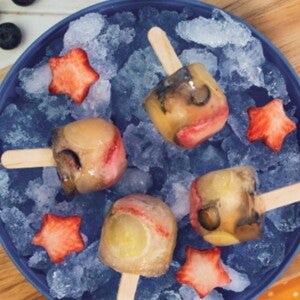 paleta_frutal_gerber paleta_frutal_gerberpaleta_frutal_gerber