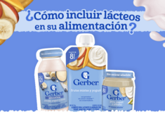 Guía smoothies
