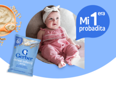 Gerber academy etapa 1