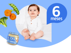 Gerber academy etapa 2