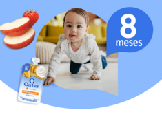 Gerber academy etapa 3