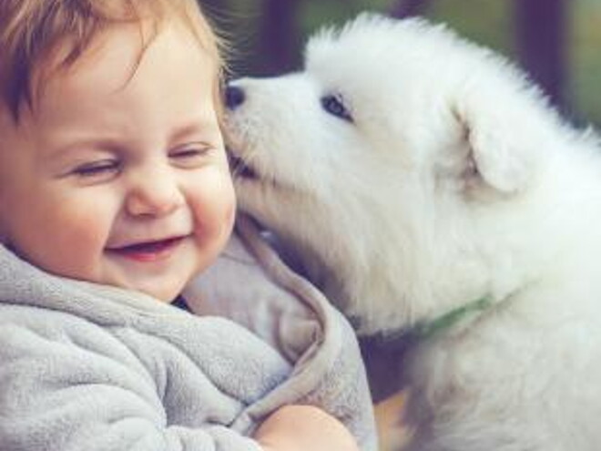 Ventajas bebes crezcan con mascotas Beneficios de crecer con un perro