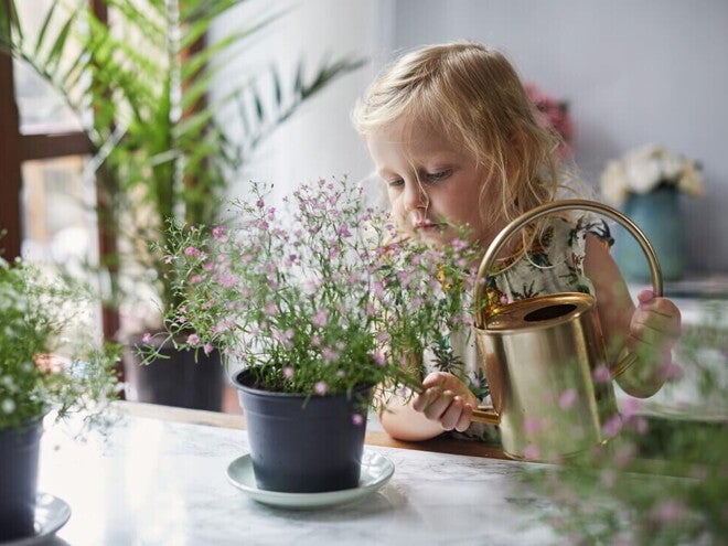 Niña pequeña regando plantas con una regadora.