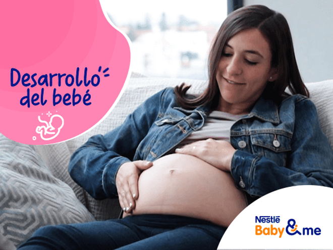 Desarrollo del bebé