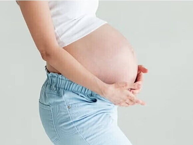 La placenta La placenta