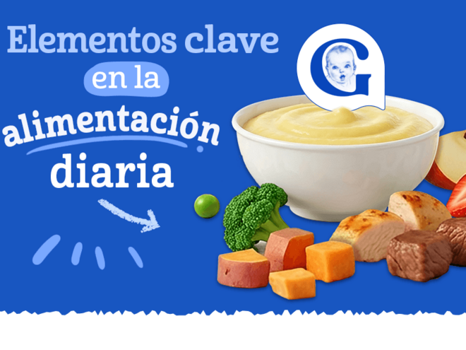 Guía alimentación diaria