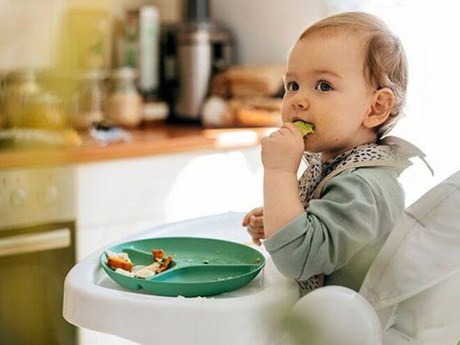 Verduras para bebes de 6 meses Verduras para bebes de 6 meses