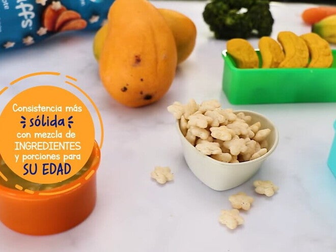 Alimentacion Complementaria