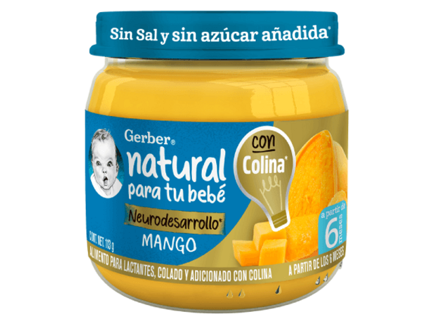 Papilla de Mango