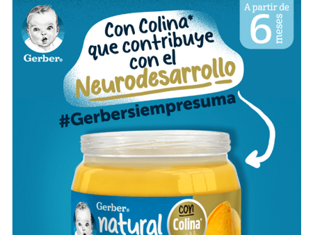 Papilla de Mango