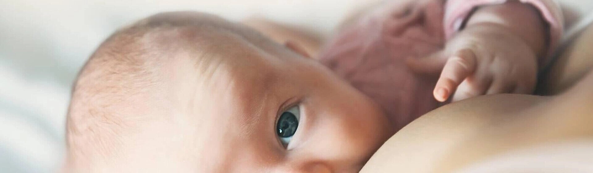 Feeding Guide for Breastfeeding Moms Feeding Guide for Breastfeeding Moms