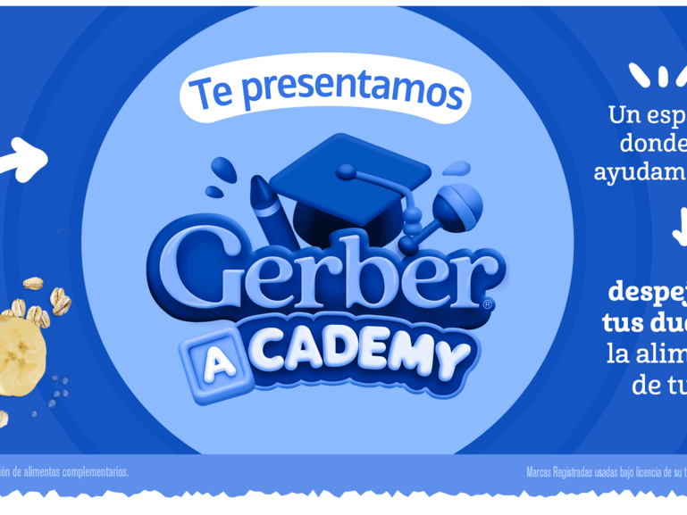 Gerber Academy Banner