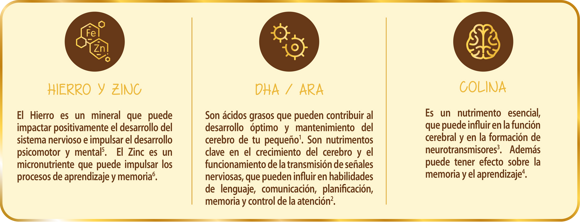 Componentes Excella® Gold Componentes Excella Gold