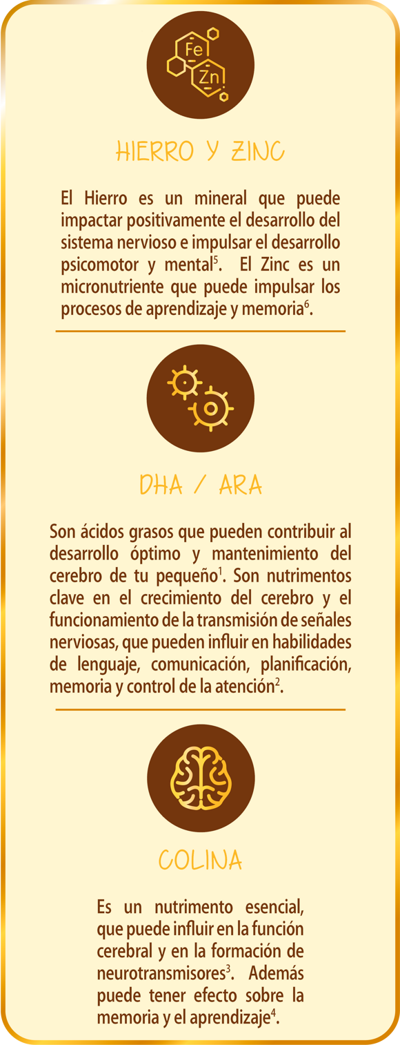 Componentes Excella® Gold Componentes Excella Gold