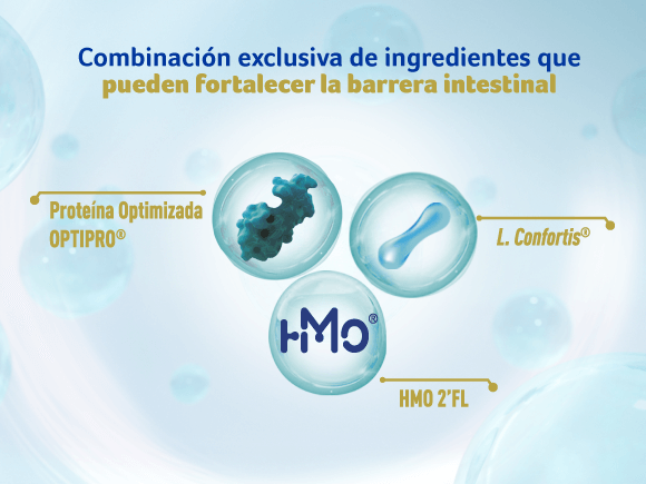 HMO HMO