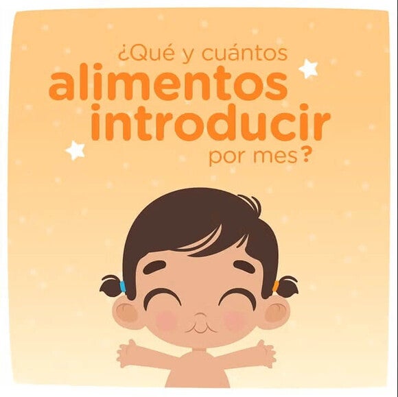Qué alimentos introducir por mes 