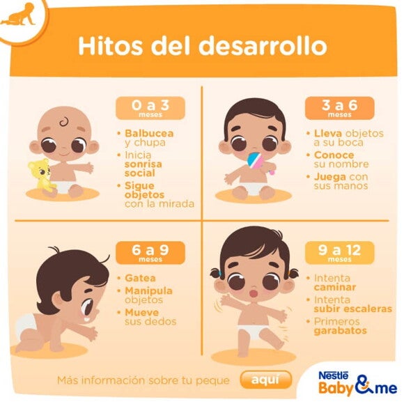 Infografía de Desarrollo del bebé Infografía de Desarrollo del bebé