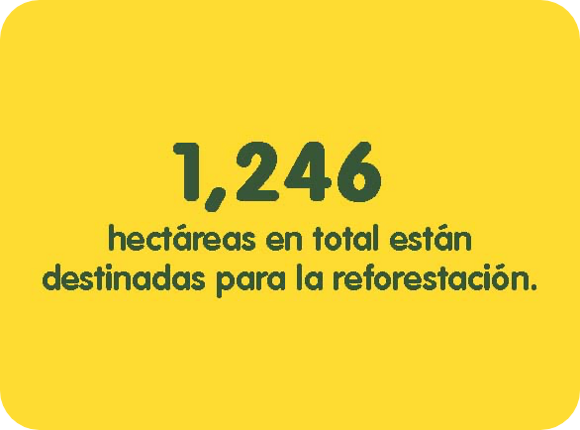 hectáreas hectáreas