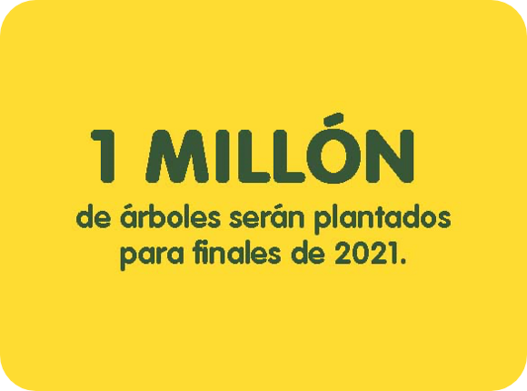 1 Millón de árboles serán plantados para finales de 2021. 1 Millón de árboles serán plantados para finales de 2021.