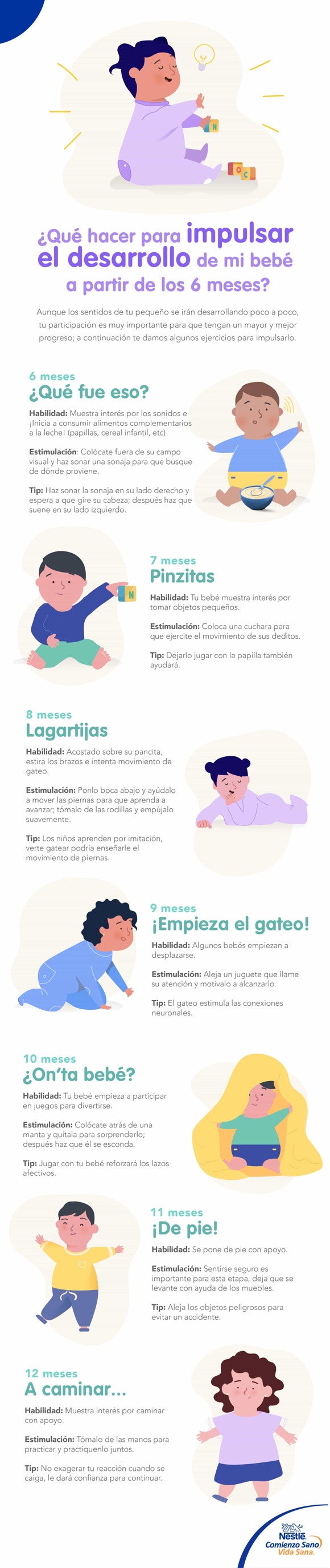 Infografía de Desarrollo de mi bebé a partir de los 6 meses Infografía de Desarrollo de mi bebé a partir de los 6 meses