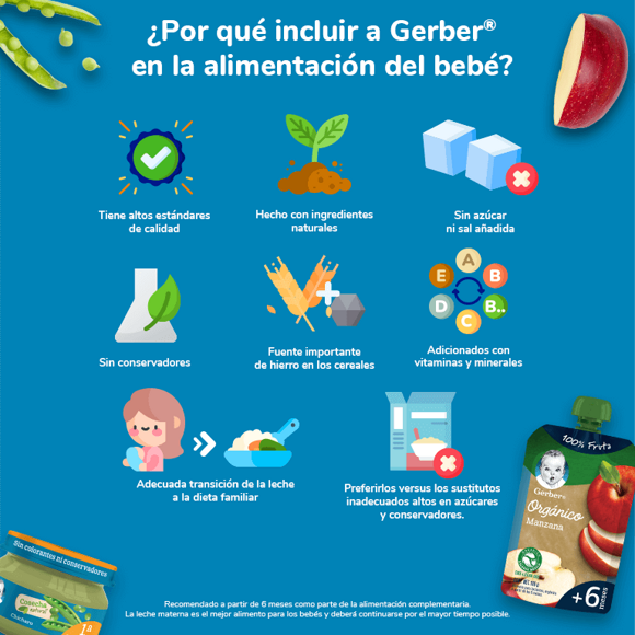 Infografía Gerber Baby Food Infografía Gerber Baby Food