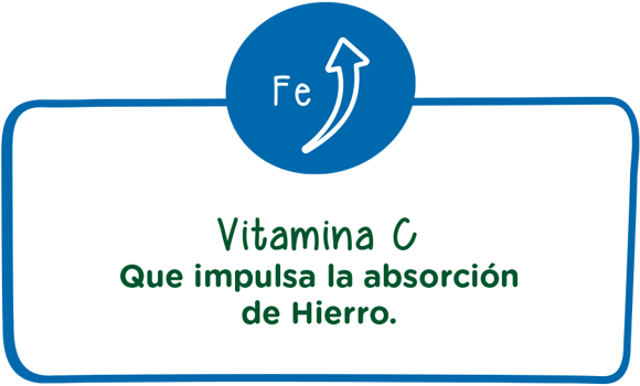Vitamina c que impulsa la absorción de hierro Vitamina c que impulsa la absorción de hierro