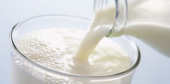 La lactosa es fundamental en la nutrición de los lactantes La lactosa es un carbohidrato importante para los bebés