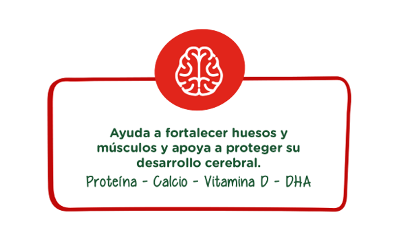 motricidad motricidad